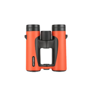LR 10X34 (山椒橘)